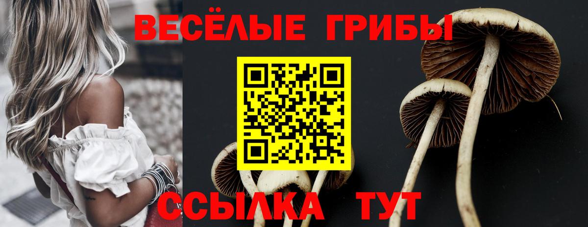 Галлюциногенные грибы Magic Shrooms  Вход с VPN  Можга  Галлюциногенные грибы ЛСД 